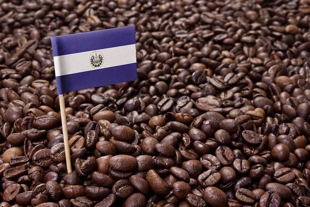 قهوه ال سالوادور